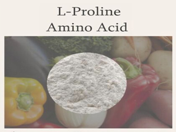 What Does Proline Do For The Body